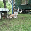 ��������� ���� �� ������� ���� ����������