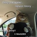 ���� ������, �������, 66 ��� - ��������� 3 ������ 2014 � ������ ������ ��������