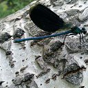 ���� �����, �������, 44 ���� - ��������� 26 ���� 2014 � ������ ���� ����������