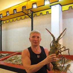 �������, ������, 63 ����