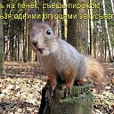 ���� ����, �����, 38 ��� - ��������� 8 ���� 2014 � ������ ������ ��������