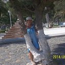 � ����� �� ��������� ����-���������� ����. 2014�. �� ������� ���� ����������