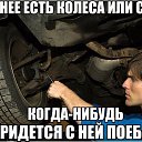 ���� ����, �������, 40 ��� - ��������� 8 ��� 2014 � ������ ������ ��������