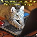 ���� Madam, �����-��������� - ��������� 4 ���� 2014 � ������ ������ ��������