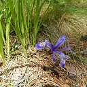 ���� �����, �������, 52 ���� - ��������� 24 ���� 2014 � ������ ���� ����������