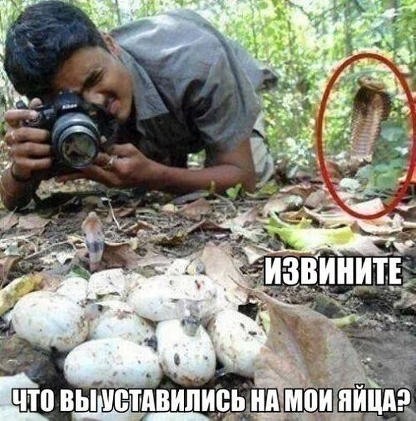     ! =))) fotostrana.ru/public/233738