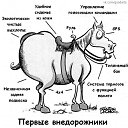 ���� ����, ��������, 40 ��� - ��������� 12 ���� 2014 � ������ ������ ��������
