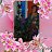 ���������� ��������� � ���������� ������ http://vk.com/fotoramka