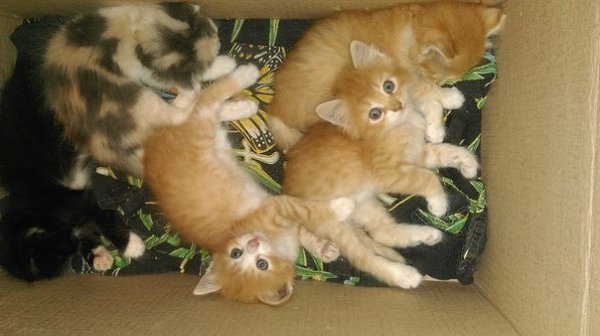  #_.        5  ,   ...