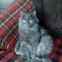 ���� �������, ����� - ��������� 4 ���� 2014 � ������ ���� ����������