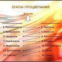 ���� ������, ������, 58 ��� - ��������� 23 ���� 2014 � ������ ���� ����������