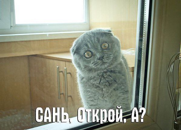        !))