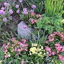 ���� ����������, ����������� - ��������� 24 ������ 2014 � ������ ������ 2014 ��Ļ