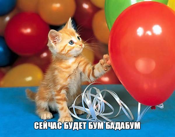 ������� �� �����! ������� ����! - 1 ������� 2014 � 13:43