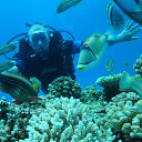 ���� �������, ����������, 41 ��� - ��������� 16 ������ 2014