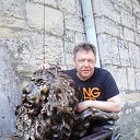 ���� ���������, ��������, 62 ���� - ��������� 18 ���� 2014 � ������ ���� ����������