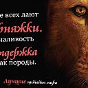 ���� ���������, �����, 39 ��� - ��������� 17 ���� 2014 � ������ ���� ����������
