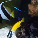���� ����, ��������� - ��������� 10 ������� 2014 � ������ ���� ����������