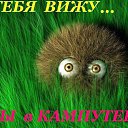 ���� �����, �����������, 43 ���� - ��������� 17 ������� 2014 � ������ ������ ��������