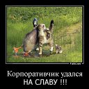 ���� ����, �����-��������� - ��������� 21 ���� 2014 � ������ ������ ��������