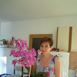 ���� ������, �����, 58 ��� - ��������� 11 ��� 2014