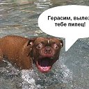 ���� ���� ))), ������ - ��������� 1 ������� 2014 � ������ ������ ��������
