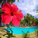 ���� Vadim Ustimenkov, �����, 48 ��� - ��������� 28 ���� 2014 � ������ ��� ���� ����� 2013�