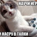 ���� ������, �����������, 58 ��� - ��������� 21 ���� 2014 � ������ ������ ��������