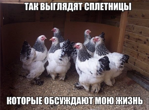    .  ,   ,  . ...