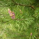 ���� �����, ������ - ��������� 30 ��� 2014