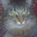 ���� ������, ������, 60 ��� - ��������� 7 ������ 2014 � ������ ���� ����������