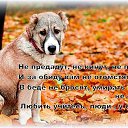 ���� ������, ������-��-����, 52 ���� - ��������� 10 ��� 2014 � ������ ������ ��������