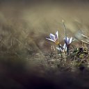 ���� �����, ������������, 43 ���� - ��������� 2 ������ 2014 � ������ ������ ��������