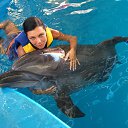 ���� �����, �����-���������, 52 ���� - ��������� 8 ���� 2014 � ������ ������� 2014�