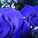 ���� ������, ������ - ��������� 5 ������� 2014 � ������ ���Ȼ