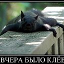 ���� �����, ������ - ��������� 6 ������ 2014 � ������ ������ ��������