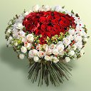  Halina,  -  21  2014    