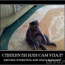 ���� Antonida, ����� - ��������� 24 ���� 2014 � ������ ������ ��������