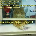 ���� ����, �����-���������, 42 ���� - ��������� 29 ����� 2014 � ������ ������ ��������