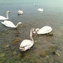 ���� Horlam, ��������, 39 ��� - ��������� 24 ��� 2014 � ������ ���� ����������