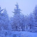 ���� ������, ����������, 66 ��� - ��������� 18 ������� 2014 � ������ ������ ��������