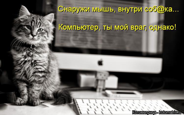 /zev/null - 29 ��� 2014 � 12:59