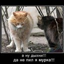 ���� �_�_�_�_�, ������-��-����, 43 ���� - ��������� 15 ��� 2014 � ������ ������ ��������