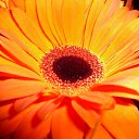 ���� ���, �������� - ��������� 30 ���� 2014 � ������ �������