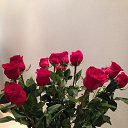 ���� �., ��������� - ��������� 13 ���� 2014 � ������ ���� ����������