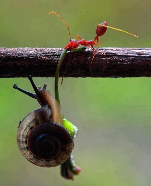 Самое приятное – это когда хорошего не ждёшь, а оно берёт и случается. - 2