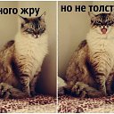���� ������, ����� - ��������� 7 ������ 2014 � ������ ���� ����������