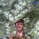 ���� ������, ������ �������� - ��������� 12 ��� 2014 � ������ ���� ����������