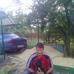 ���� ������, ������������, 52 ���� - ��������� 21 ���� 2014