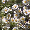 ���������� �� ������� ���� ����������